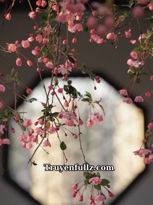 Số 680 Đường Nam Kinh, Thượng Hải