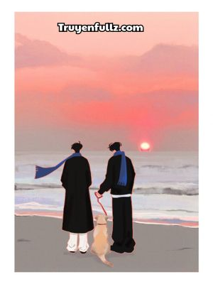 Không Làm Pháo Hôi Lụy Tình