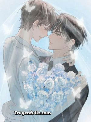 Xin Chào Đối Tác, Chiến Hữu, Người Yêu