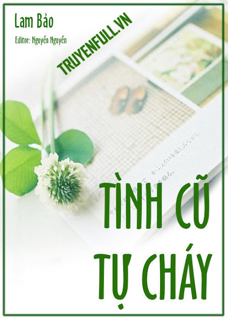 Tình Cũ Tự Cháy