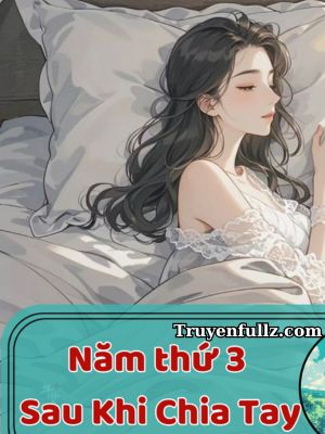 Năm Thứ Ba Sau Khi Chia Tay